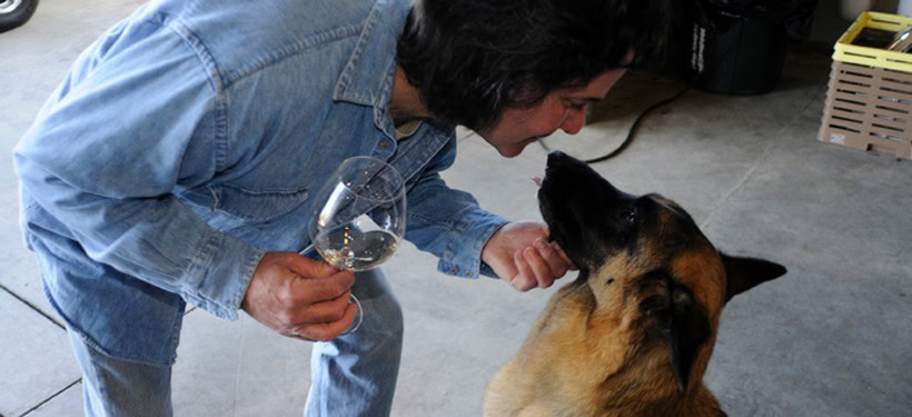 Person with a dog at D'Alfonso-Curran Wines tasting event.