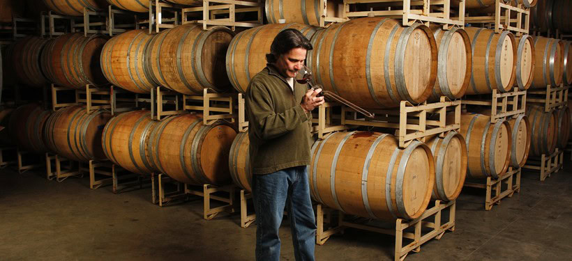 Man tasting wine in a cellar with stacked wine barrels at D'Alfonso-Curran Wines.