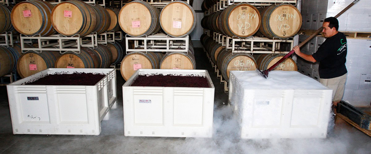 Wine barrels stored in a winery cellar with a worker filling a barrel.